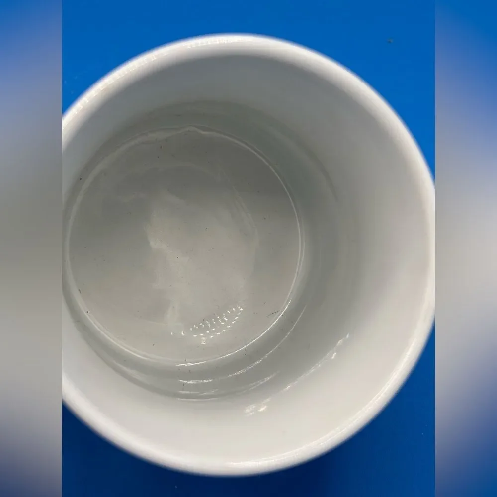 Grand Turk Turks & Caicos Islands Coffee Mug Sea Turtle Fish Souvenir Iridescent